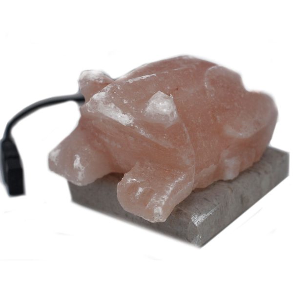 USB Toad Shaped (Multi) - Image 3