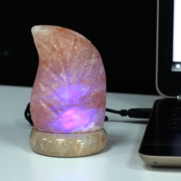 USB leaf Shaped (Multi) - Image 2