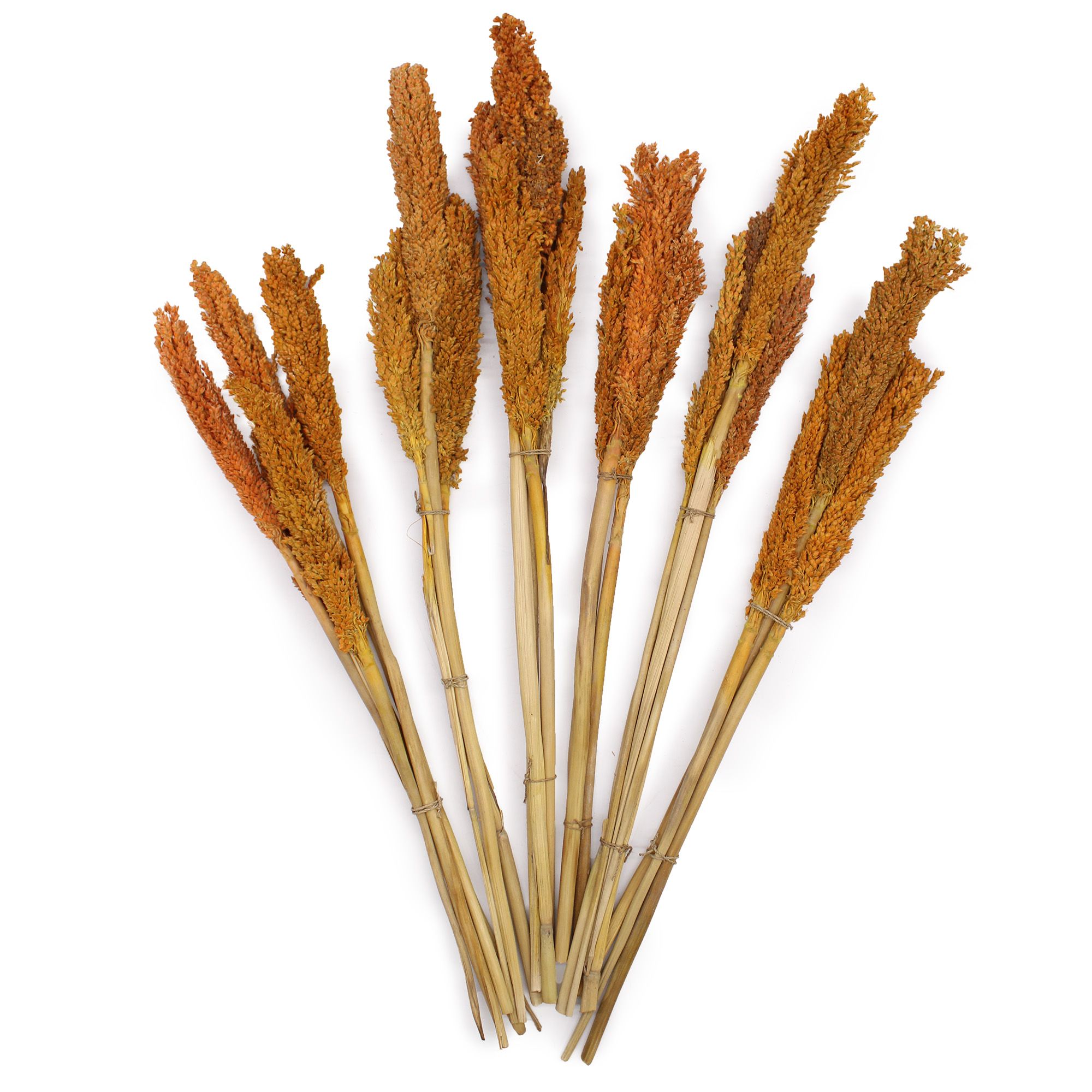 Cantal Grass Bunch - Orange - Image 3