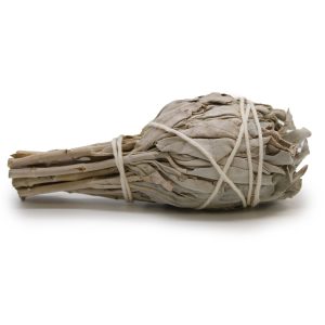 bG9jYWw6Ly9tZWRpYS8xRy9HRC82MFIzMEMxRzZSU0tHRDFHLzZlNDQ2ODg3LmpwZWc.jpg Smudge Stick - White Sage Torch 10cm