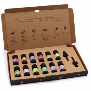bG9jYWw6Ly9tZWRpYS8xSC8yQy82MFIzMEMxRzZXUzMyQzFIL2JlOTFlMWIwLmpwZWc.jpg Aromatherapy Essential Oil Set - Spring