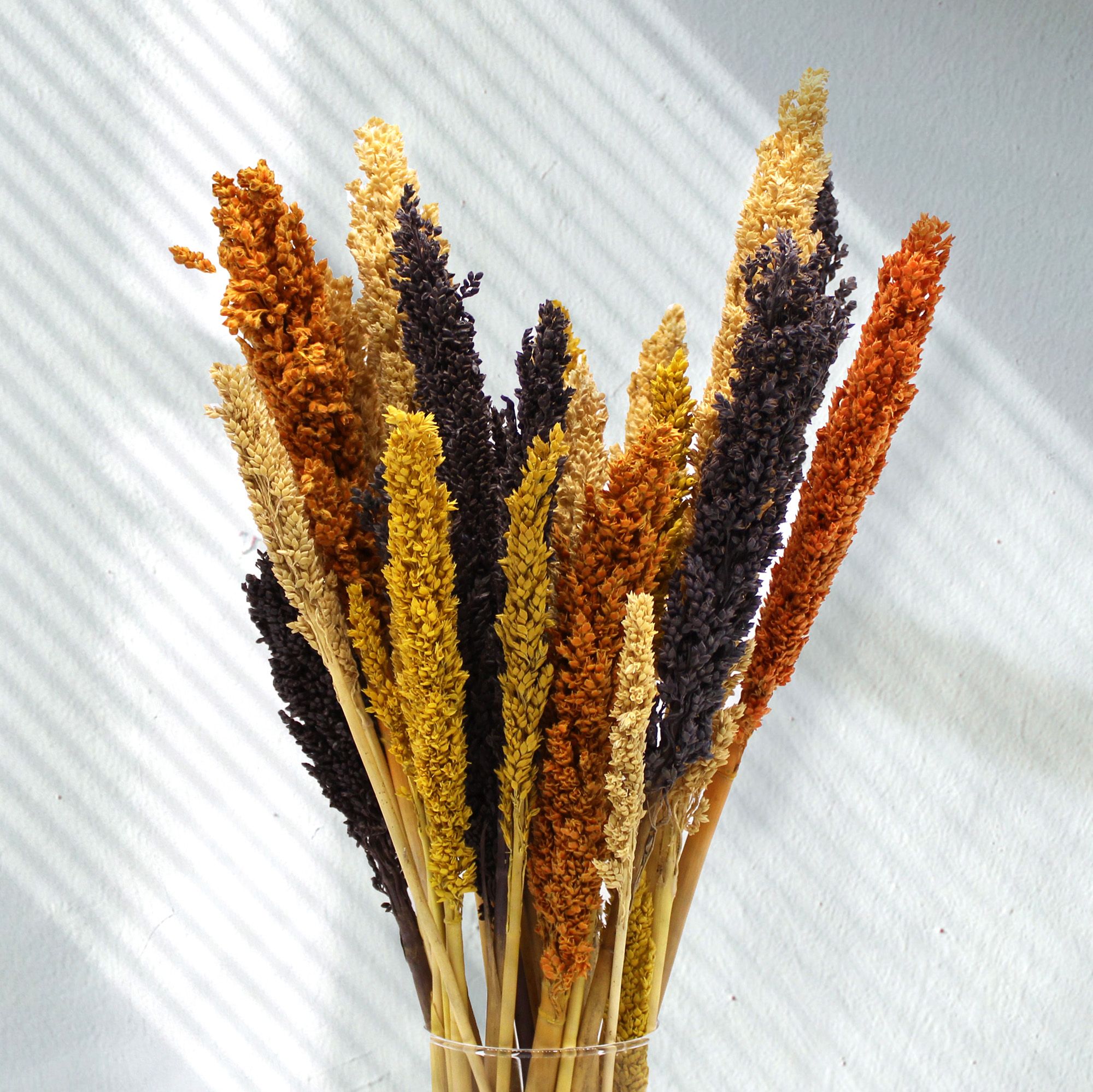 Cantal Grass Bunch - Black - Image 5