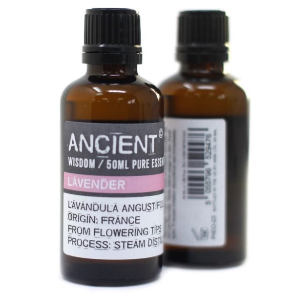 Sweet Birch 50ml - Image 3