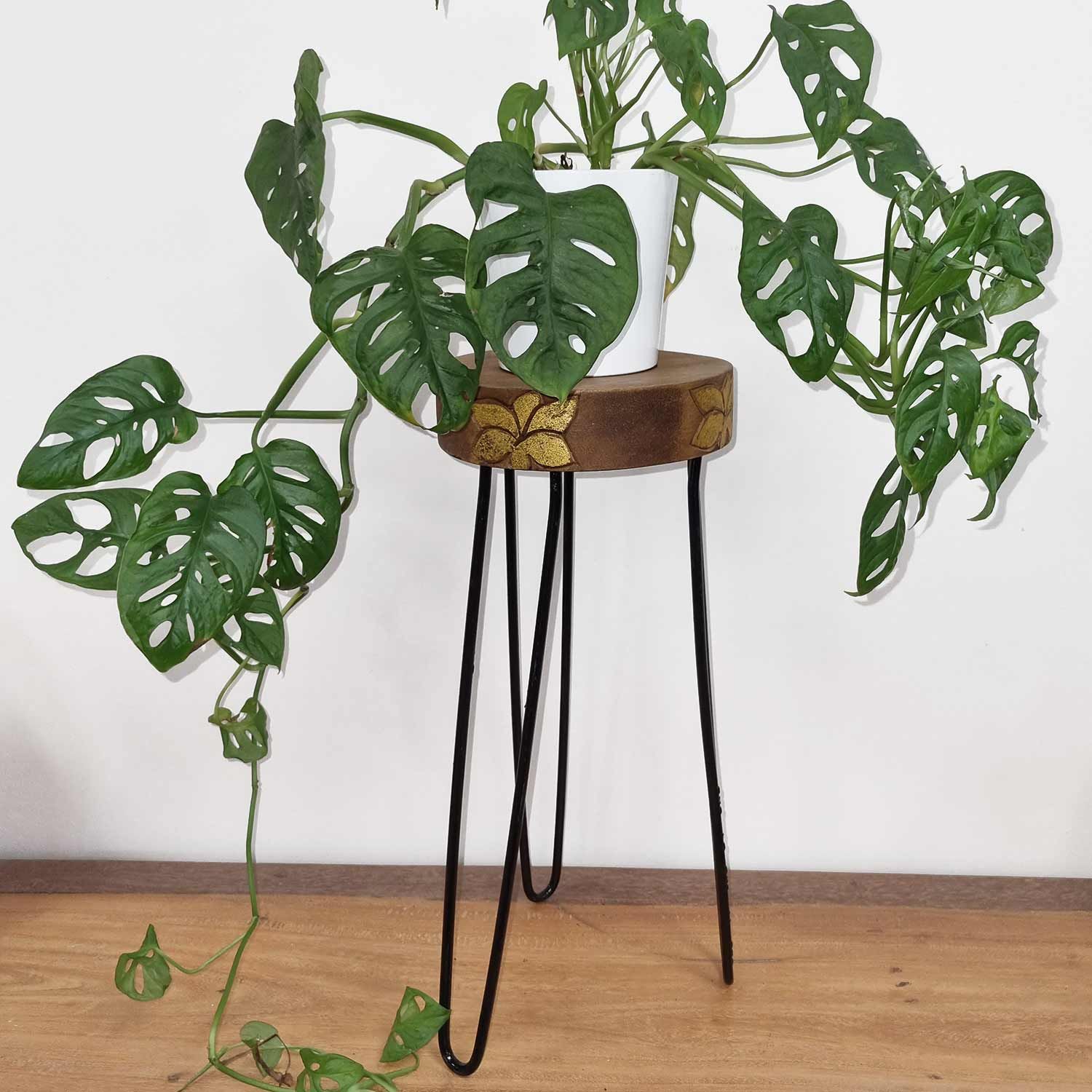 Albasia Wood Plant Stand - Natural & gold detail - Image 4