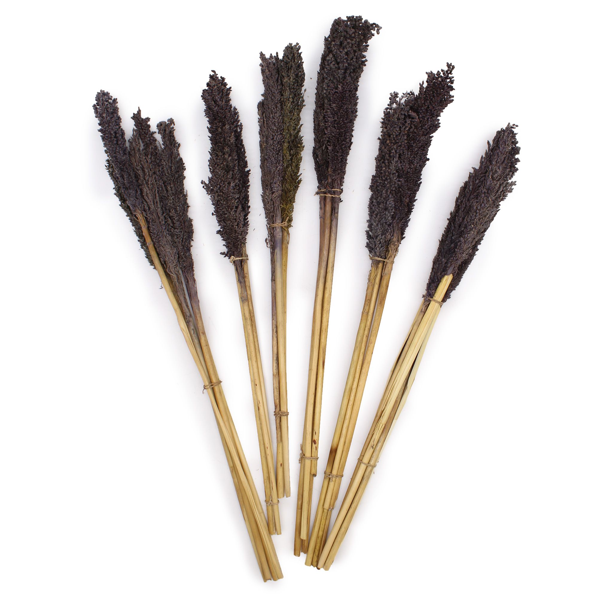 Cantal Grass Bunch - Black - Image 2