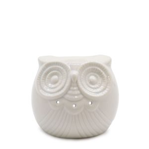 bG9jYWw6Ly9tZWRpYS8xTi9DRC82MFIzMEMxRzZHVktDRDFOLzgwNWNjOTljLmpwZWc.jpg Classic White Oil Burner - Short Owl