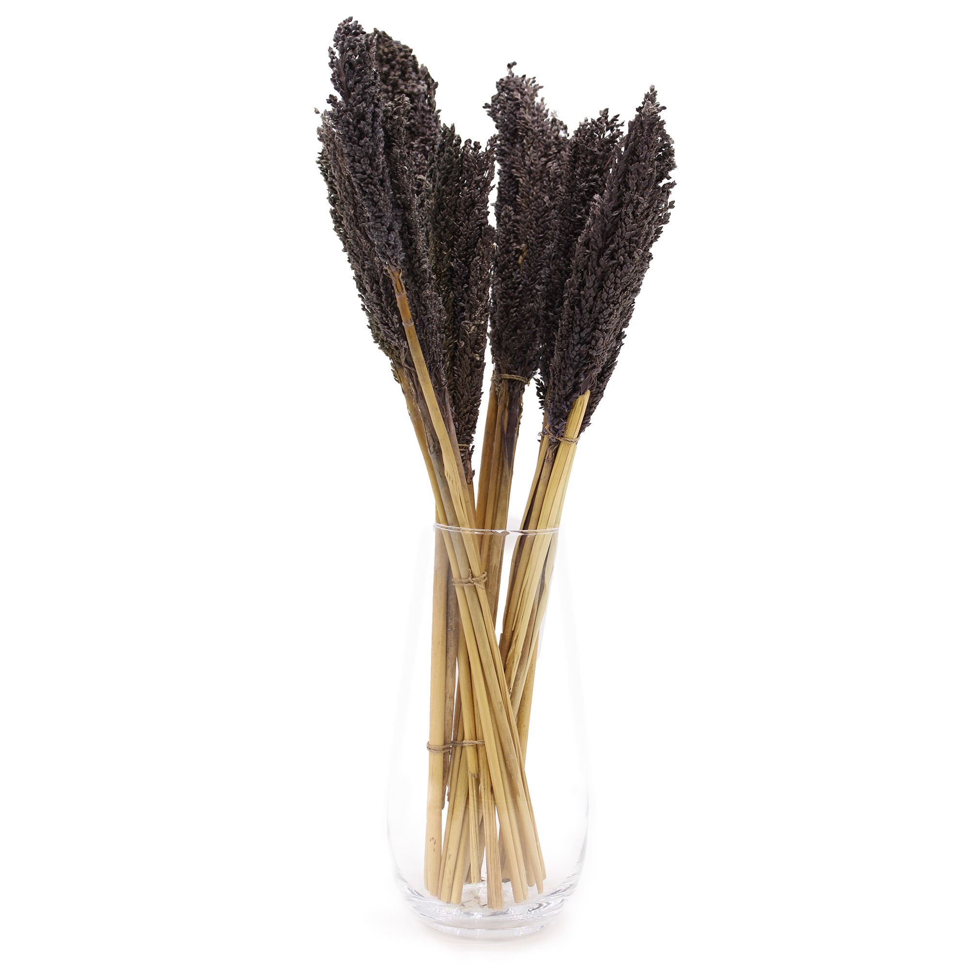 Cantal Grass Bunch - Black - Image 3