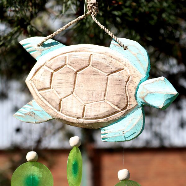 Aqua Turtle Carving and Copis Drop - Image 4