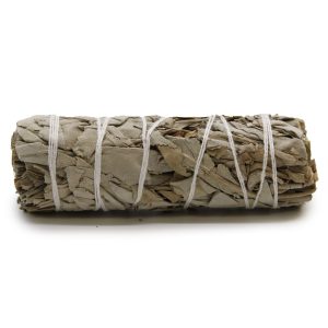 bG9jYWw6Ly9tZWRpYS8xUC9HRC82MFIzMEMxRzZSU0tHRDFQLzY1OTYwNjdjLmpwZWc.jpg Smudge Stick - White Sage 10cm