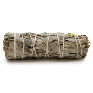 bG9jYWw6Ly9tZWRpYS8xUS9HQy82MFIzMEMxRzZSU0tHQzFRL2NlNmUyMWFlLmpwZWc.jpg Smudge Stick - White Sage & Blue Sage 10cm