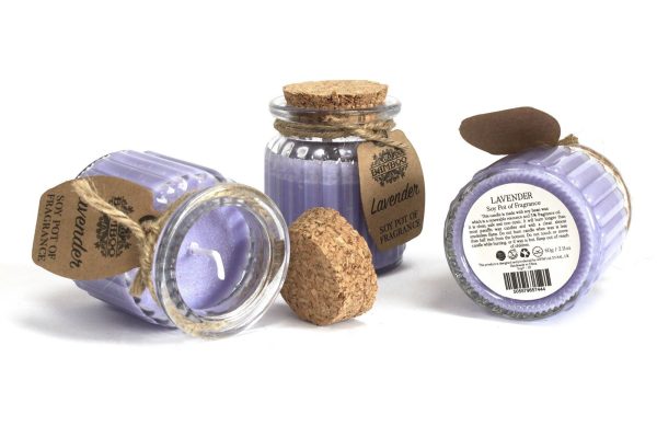 Winter Berry Soy Pot of Fragrance Candles - Image 4