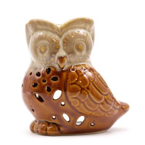 bG9jYWw6Ly9tZWRpYS8xUy82RS82MFIzMEMxRzZHU0s2RTFTLzVkMTAyNzQzLmpwZWc.jpg Classic Rustic Oil Burner - Owl Side-on (assorted)