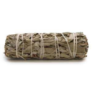 bG9jYWw6Ly9tZWRpYS9ISC9HQy82MFIzMEMxRzZSU0tHQ0hILzgzMWYxZTU1LmpwZWc.jpg Smudge Stick - White Sage & Sweetgrass 10cm