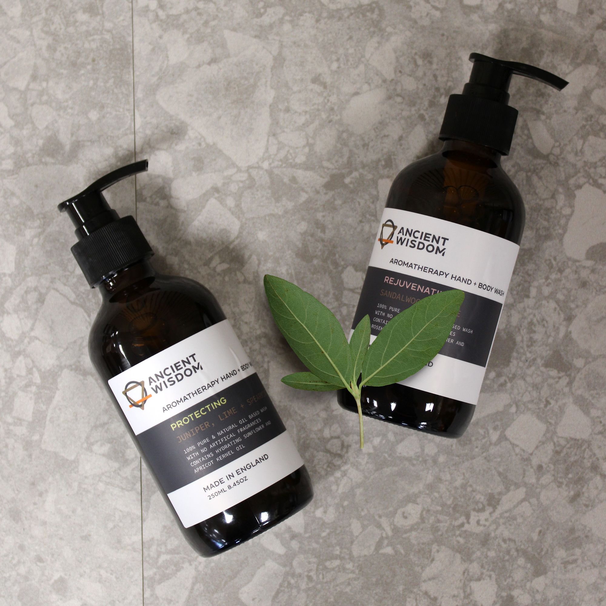Tangerine, Ylang & Patchouli Hand & Body Wash 250ml - Image 3