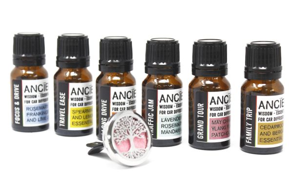 10ml Aromatherapy Car Blend - Family Trip - Image 3