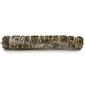 bG9jYWw6Ly9tZWRpYS9TSi9HQy82MFIzMEMxRzZSU0tHQ1NKLzBiODEyODUwLmpwZWc.jpg Smudge Stick - White Sage & Cedar 22 cm