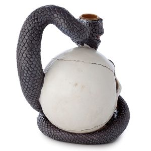 bG9jYWw6Ly9tZWRpYS9TSi9KQy82MFIzMEMxRzZSVktKQ1NKL2FhMjBkYTliLmpwZWc.jpg Snake and Skull Backflow Incense Burner